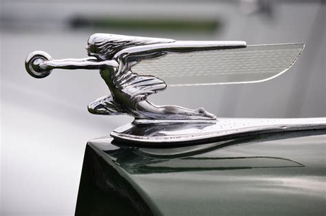 Vintage Hood Ornaments Identification & Value (Expert Guide)