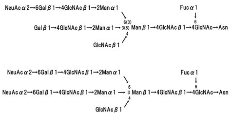 Basic Structure Of N Linked Oligosaccharides Of Glycophorin A Download Scientific Diagram