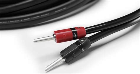 12 Types Of Audio Cables All Producers Should Know Tips