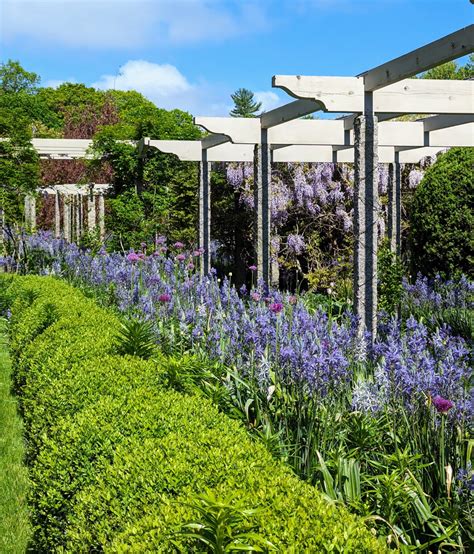 My Spring Pergola Garden The Martha Stewart Blog
