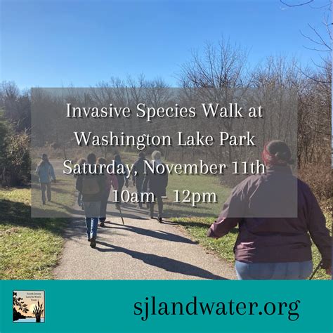 Invasive Species Walk At Washington Lake Park Sjlwt