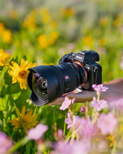 Sony Fe Mm F G Master Lens Review Autumn Schrock