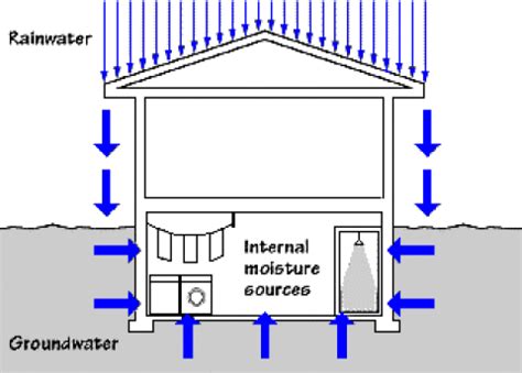 Dampness In Buildings How To Remedy The Issue The Constructor