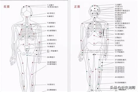 從「臟腑病，而求門、海、俞、募之微」論臟腑病針灸治療取穴規律 每日頭條