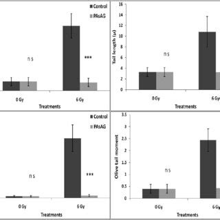 Effect Of Pasag On Dna Damage In Murine Bone Marrow Cells Induced By