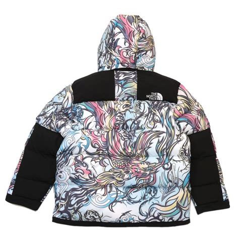 Supreme X The North Face Fill Down Parka