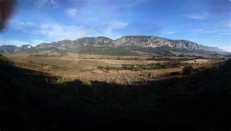 Le Jour O Nous Sommes Devenus Propri Taires Dune Parcelle De Vignes