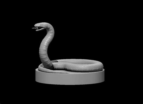 Poisonous Snake Miniature for Dnd Pathfinder and Other Ttrpgs - Etsy