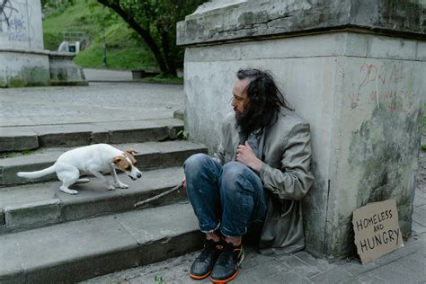 Homeless Photos, Download The BEST Free Homeless Stock Photos & HD Images