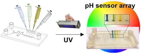 Chemosensors Free Full Text Precise Integration Of Polymeric