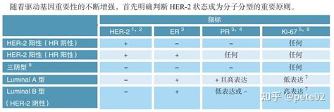 乳腺癌的病理分型和her2阳性乳腺癌的治疗选择 知乎