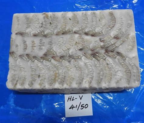 Headless Vannamei Shrimps Prawns Block At Best Price In Chennai