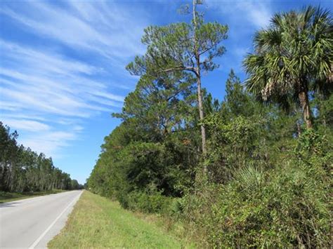 Florida Timber Land For Sale Page 7 Of 7 Landflip
