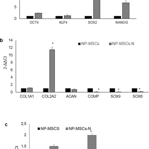 Intracellular Calcium Measurements Representative Traces Of