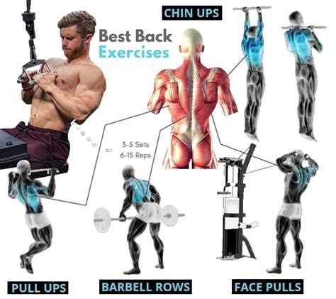 Best Back Barbell Exercises Off 63