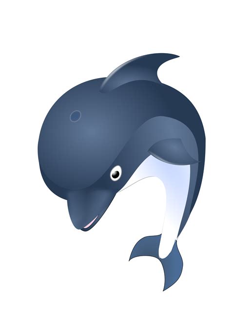 Jumping Dolphin Icons Png Free Png And Icons Downloads