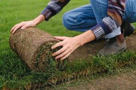 Best Grass Removal Tools: Top Sod Cutters