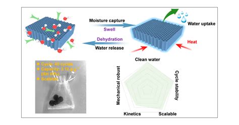 Biomimetic Dual Absorptionadsorption Networked Mxene Aerogel Pump For