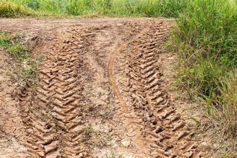 Muddy Tire Tracks