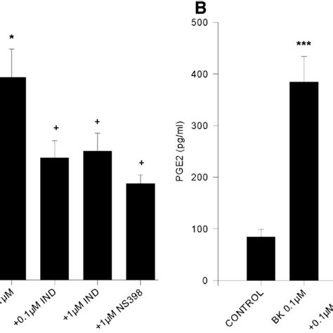 Effect Of Cox Inhibitors On Bk Induced And Vegf A And Pge B