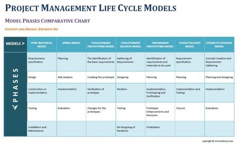 Pmi Project Life Cycle Phases for