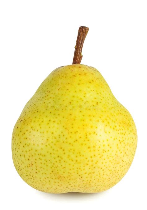 Yellow Ripe Pear Stock Photo Image Of Vegetarian Macro