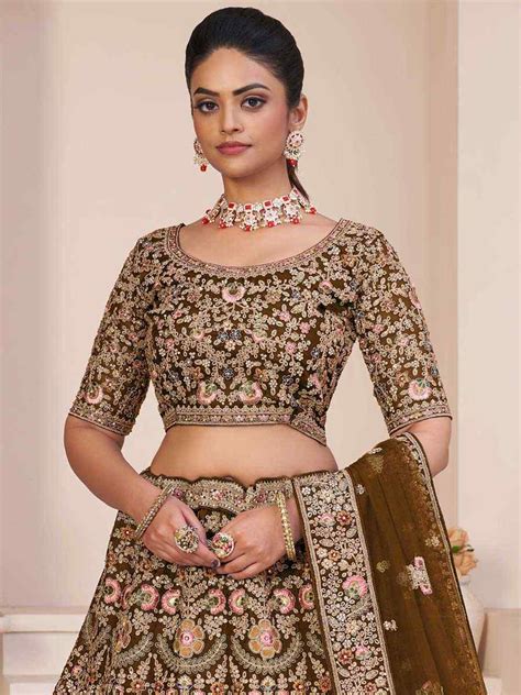 Beige Net Embroidered Bridal Reception Heavy Border Lehenga Choli