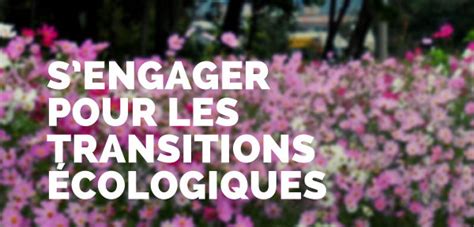 Les Jeunes Ambassadeurs De L Ess Et De La Transition Cologique