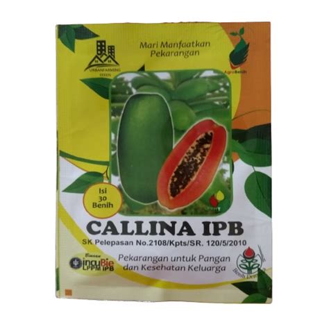 Jual 1 Pack Benih Pepaya Calina IPB PACK ORIGINAL Shopee Indonesia