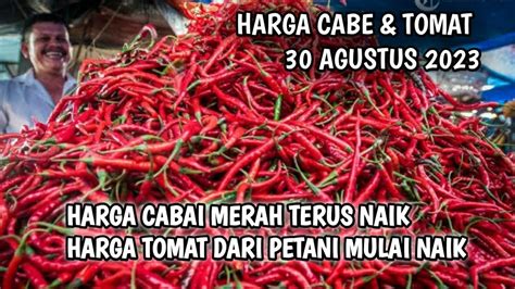 Harga Cabai Hari Ini 30 Agustus 2023 Info Harga Cabe Rawit Hari Ini