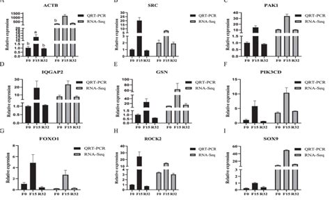 Expression Comparison Of 9 Genes By QRT PCR And RNA Seq In 3 Periods