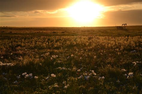 Prärie Sonnenuntergang Landschaft Kostenloses Foto auf Pixabay Pixabay