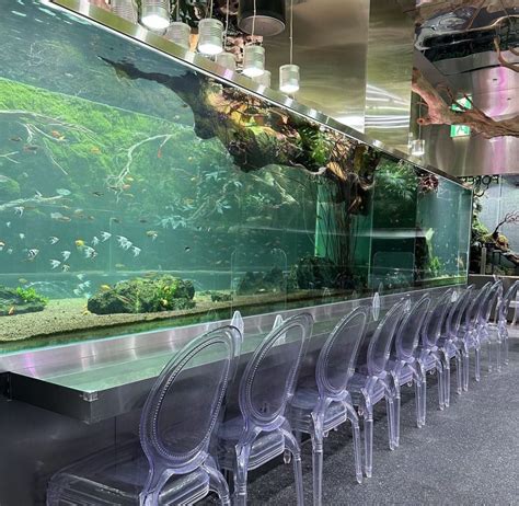 Aqua Garden Magical CafÉ In Korea Lets You Dine Underwater” In An