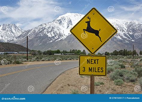 Deer Crossing Warning Sign Along Rural Road Stock Image Image Of Sign