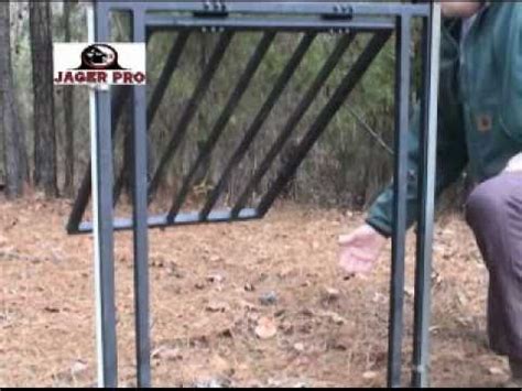 Wild Hog Trapping Disproving Continuous Catch Gates Feral Pig