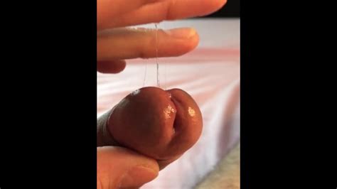 Precum Uncut Cock Pornhub Gay