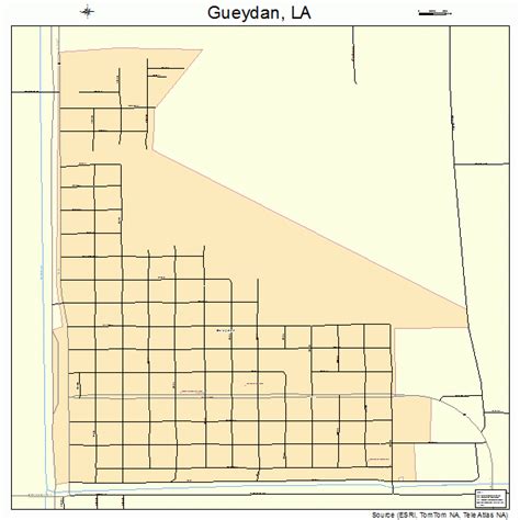 Gueydan Louisiana Street Map 2232055