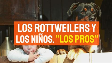 Los Rottweilers Son Buenos Con Los Ni Os Los Pros Youtube