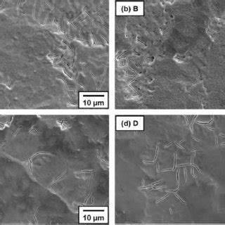 Surface Morphologies Of The Iro Ta O Ti Anodes Prepared At