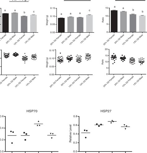 Sex Specific Outcomes On Placental Growth In Response To Chronic