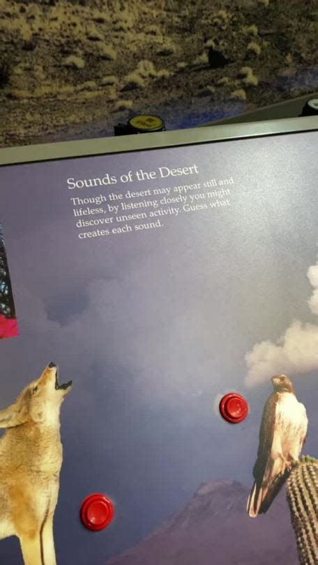 Post Scientifically Im Very Gay Tumblr Tumbex