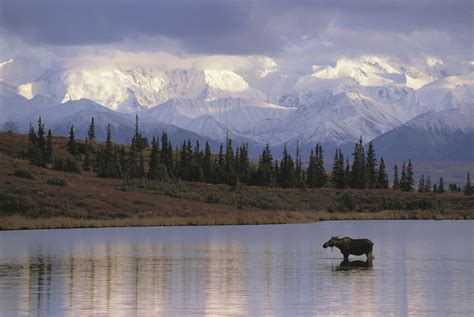 Quotes About Alaskan Wilderness Quotesgram