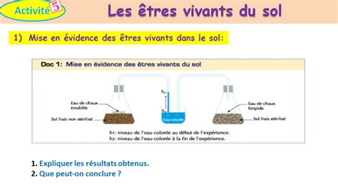 Les êtres vivants du sol svt tcsf شرح بالداريجة YouTube