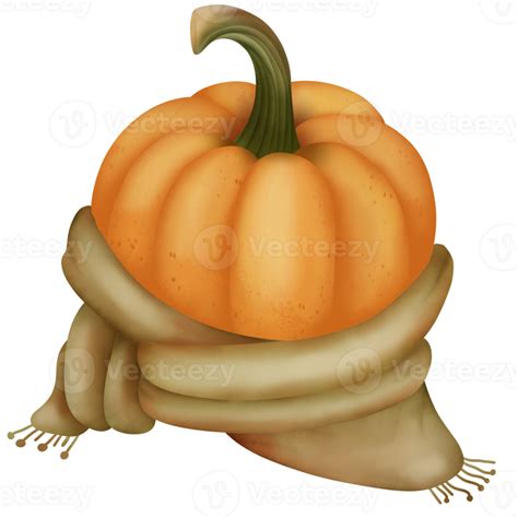 Butternut Squash Watercolor Hand Drawn Illustration 29759854 Png