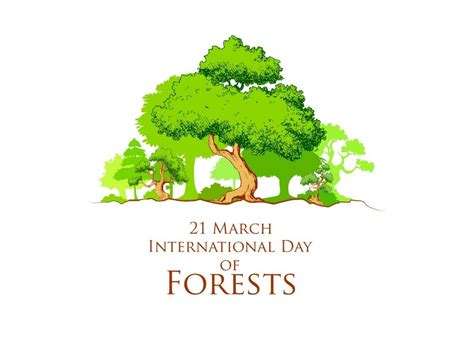 International Day Of Forests Today Pragativadi Odisha News