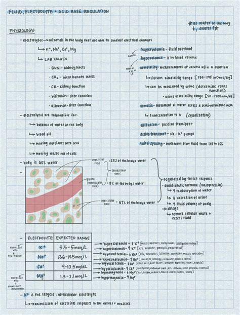 Fluid Electrolyte And Acid Base Regulation Notability Gallery