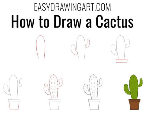 How To Draw A Cactus Easy Drawings Easy Drawings For Beginners Easy Drawing Steps