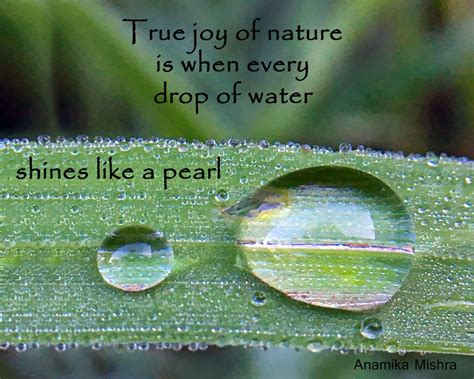 Nature Quote About A Drop Of Water Mother Nature Quotes Nature