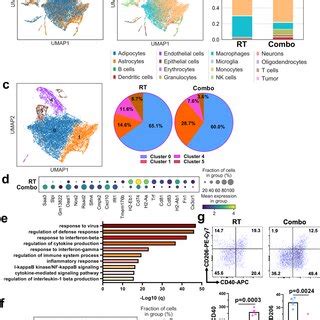 B Lnp Diabzi Treatment Reprograms Metabolic Features Of Tamc Bulk