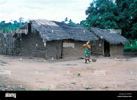 Africa Kenya Digo Community Kenyan Village With Adobe Houses And Stock